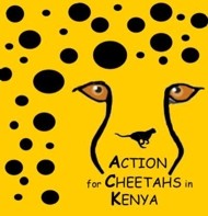 Action for Cheetahs in Kenya logo