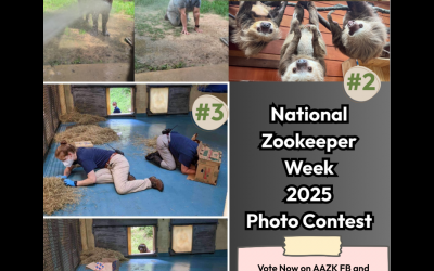 Voting now open for NZKW photo contest!